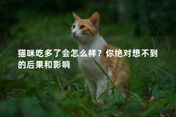 猫咪吃多了会怎么样？你绝对想不到的后果和影响