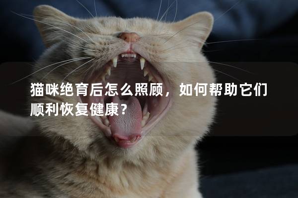 猫咪绝育后怎么照顾，如何帮助它们顺利恢复健康？