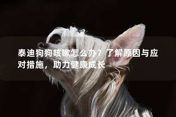 泰迪狗狗咳嗽怎么办？了解原因与应对措施，助力健康成长