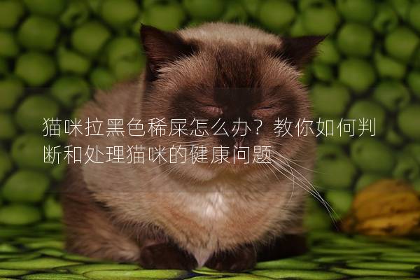 猫咪拉黑色稀屎怎么办？教你如何判断和处理猫咪的健康问题