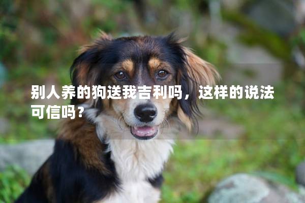 别人养的狗送我吉利吗，这样的说法可信吗？