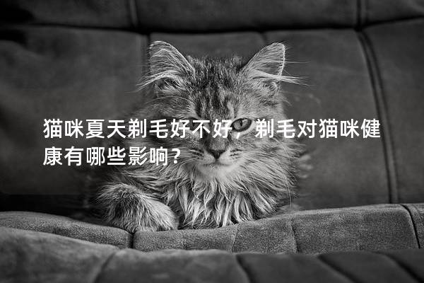 猫咪夏天剃毛好不好，剃毛对猫咪健康有哪些影响？