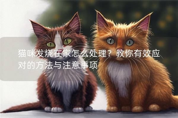 猫咪发烧在家怎么处理？教你有效应对的方法与注意事项