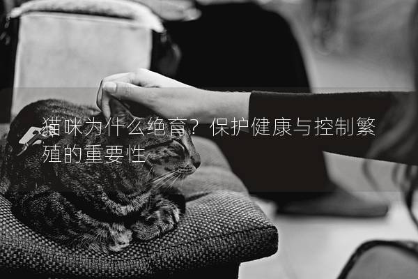 猫咪为什么绝育？保护健康与控制繁殖的重要性