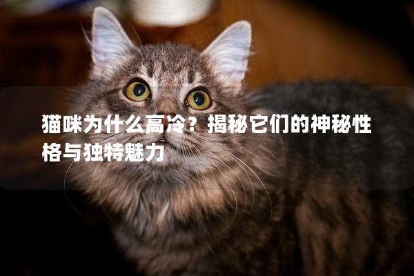 猫咪为什么高冷？揭秘它们的神秘性格与独特魅力