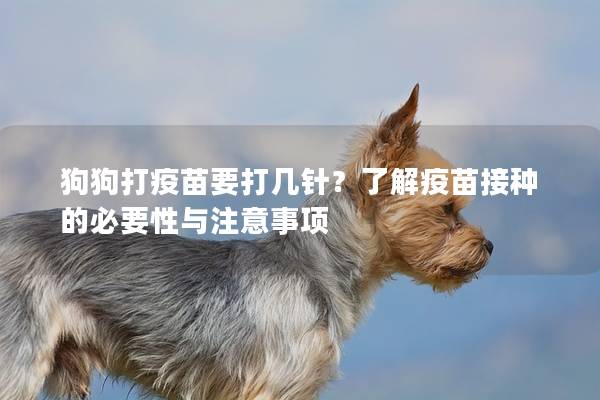 狗狗打疫苗要打几针？了解疫苗接种的必要性与注意事项