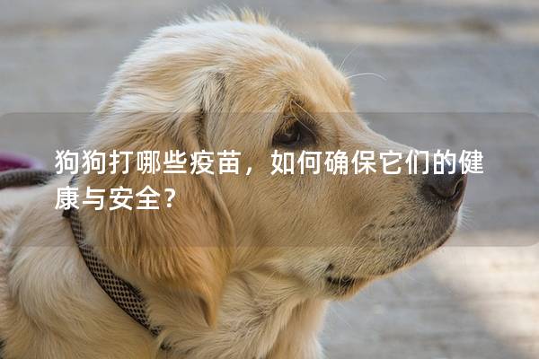 狗狗打哪些疫苗，如何确保它们的健康与安全？