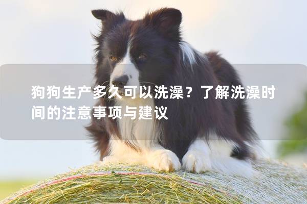 狗狗生产多久可以洗澡？了解洗澡时间的注意事项与建议