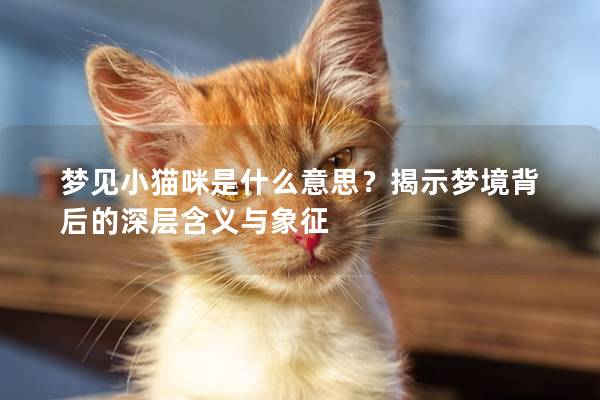 梦见小猫咪是什么意思？揭示梦境背后的深层含义与象征