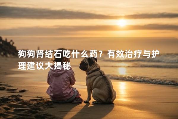 狗狗肾结石吃什么药？有效治疗与护理建议大揭秘