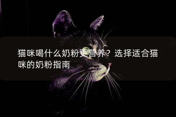 猫咪喝什么奶粉更营养？选择适合猫咪的奶粉指南