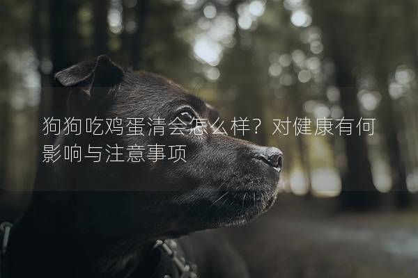 狗狗吃鸡蛋清会怎么样？对健康有何影响与注意事项