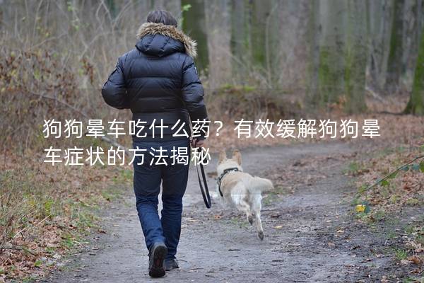 狗狗晕车吃什么药？有效缓解狗狗晕车症状的方法揭秘