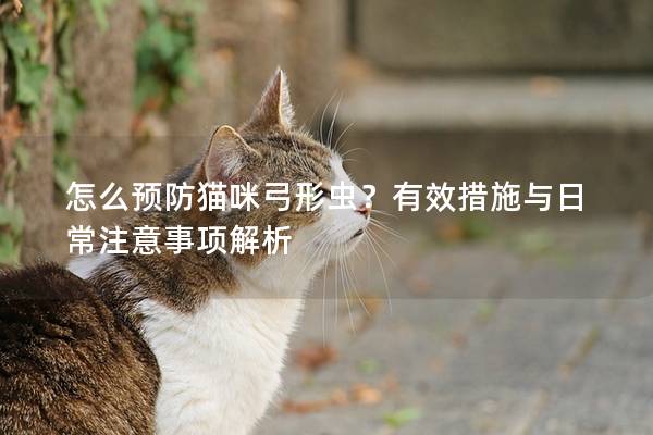 怎么预防猫咪弓形虫？有效措施与日常注意事项解析