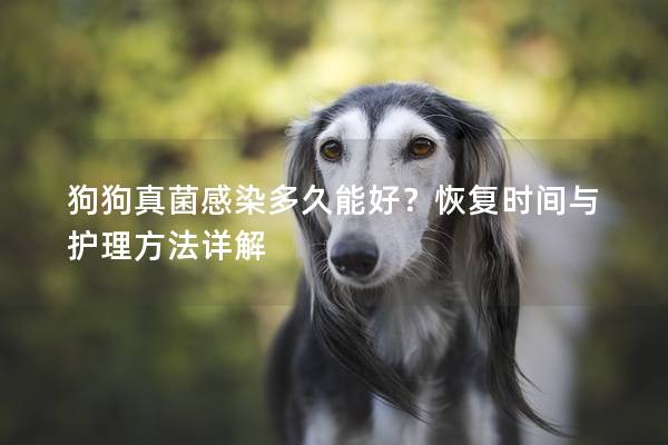 狗狗真菌感染多久能好？恢复时间与护理方法详解