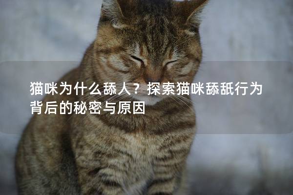 猫咪为什么舔人？探索猫咪舔舐行为背后的秘密与原因