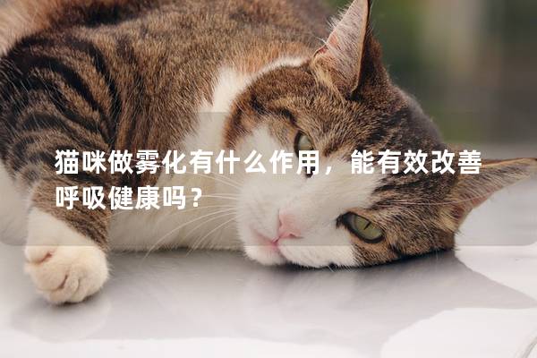 猫咪做雾化有什么作用，能有效改善呼吸健康吗？