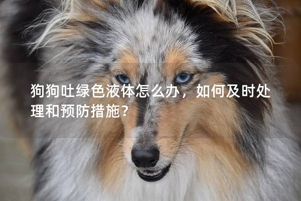 狗狗吐绿色液体怎么办，如何及时处理和预防措施？