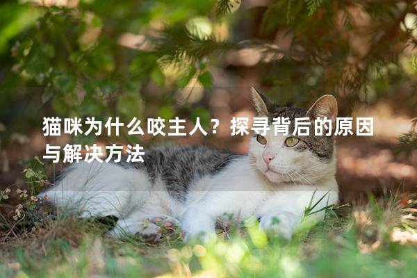 猫咪为什么咬主人？探寻背后的原因与解决方法