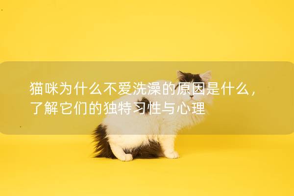 猫咪为什么不爱洗澡的原因是什么，了解它们的独特习性与心理