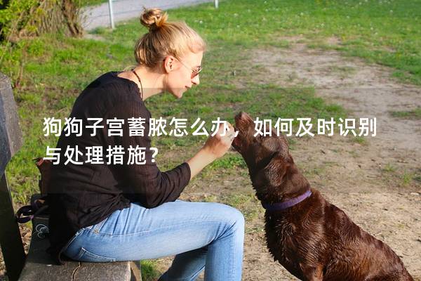 狗狗子宫蓄脓怎么办，如何及时识别与处理措施？