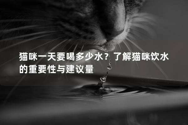 猫咪一天要喝多少水？了解猫咪饮水的重要性与建议量