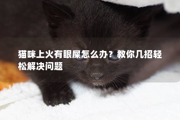 猫咪上火有眼屎怎么办？教你几招轻松解决问题