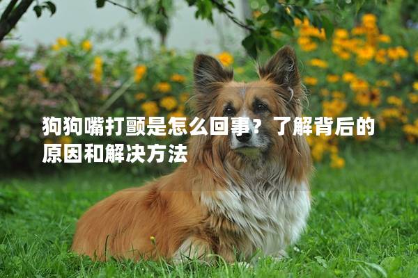 狗狗嘴打颤是怎么回事？了解背后的原因和解决方法