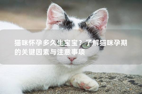 猫咪怀孕多久生宝宝？了解猫咪孕期的关键因素与注意事项