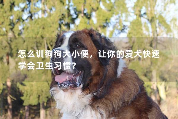 怎么训狗狗大小便，让你的爱犬快速学会卫生习惯？