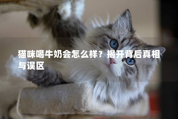 猫咪喝牛奶会怎么样？揭开背后真相与误区