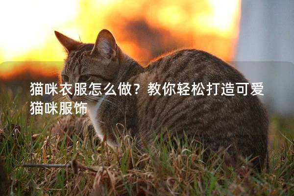 猫咪衣服怎么做？教你轻松打造可爱猫咪服饰