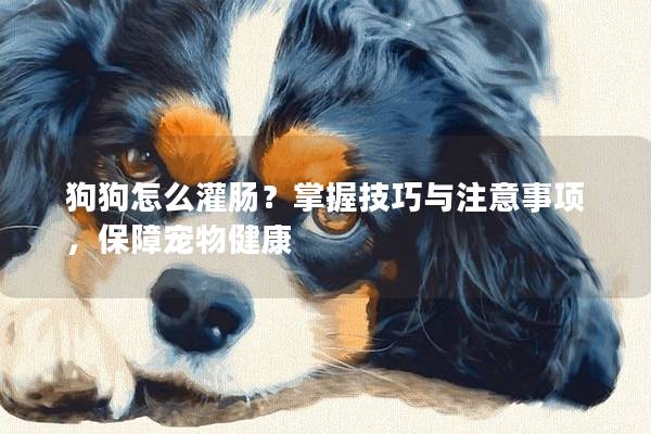 狗狗怎么灌肠？掌握技巧与注意事项，保障宠物健康