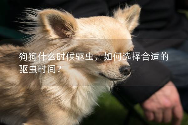 狗狗什么时候驱虫，如何选择合适的驱虫时间？