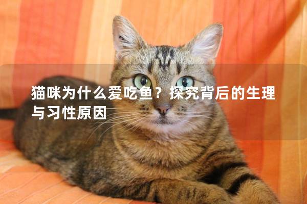 猫咪为什么爱吃鱼？探究背后的生理与习性原因