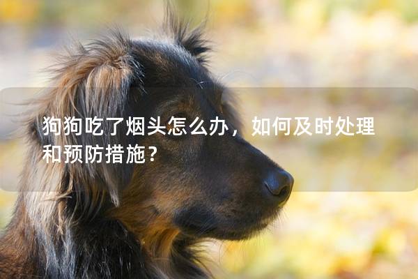 狗狗吃了烟头怎么办，如何及时处理和预防措施？