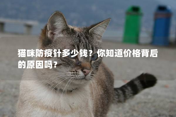 猫咪防疫针多少钱？你知道价格背后的原因吗？