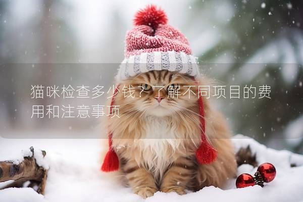 猫咪检查多少钱？了解不同项目的费用和注意事项