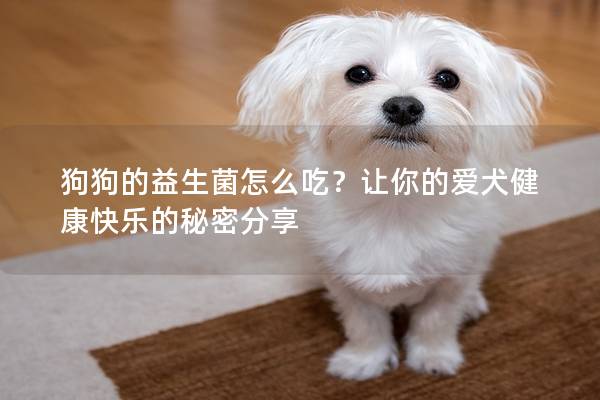 狗狗的益生菌怎么吃？让你的爱犬健康快乐的秘密分享