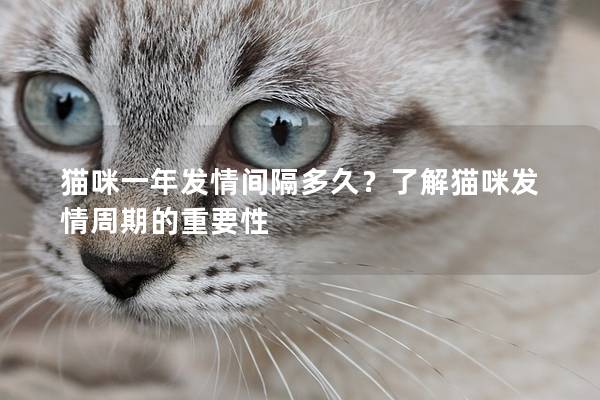 猫咪一年发情间隔多久？了解猫咪发情周期的重要性