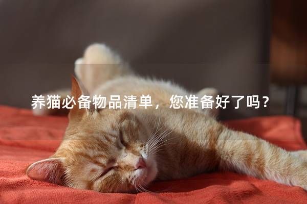 养猫必备物品清单，您准备好了吗？