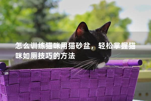 怎么训练猫咪用猫砂盆，轻松掌握猫咪如厕技巧的方法