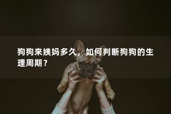 狗狗来姨妈多久，如何判断狗狗的生理周期？