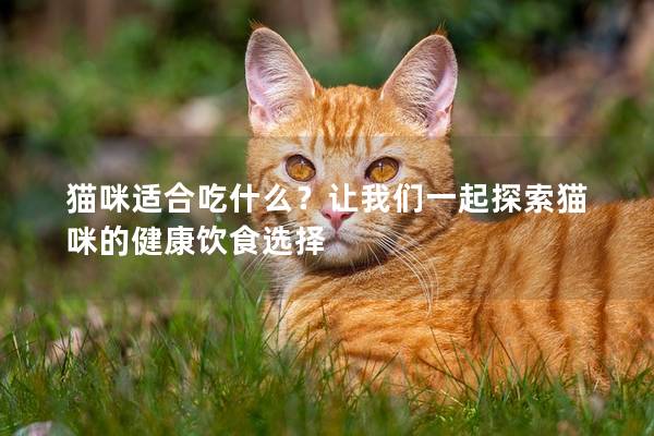 猫咪适合吃什么？让我们一起探索猫咪的健康饮食选择