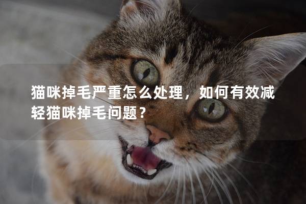 猫咪掉毛严重怎么处理，如何有效减轻猫咪掉毛问题？