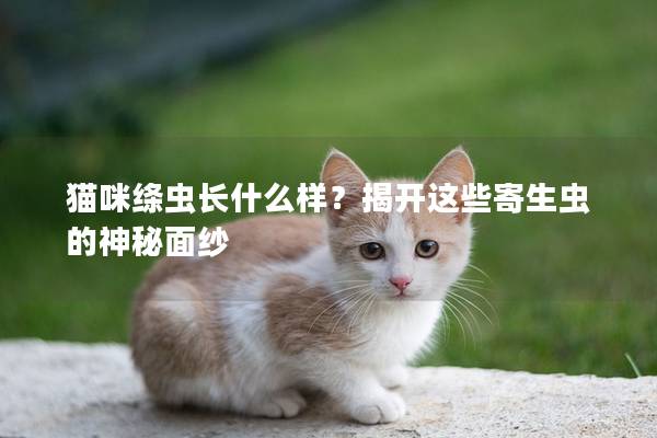 猫咪绦虫长什么样？揭开这些寄生虫的神秘面纱