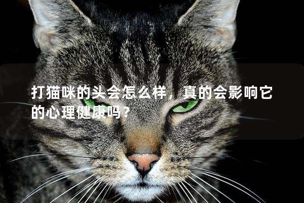 打猫咪的头会怎么样，真的会影响它的心理健康吗？