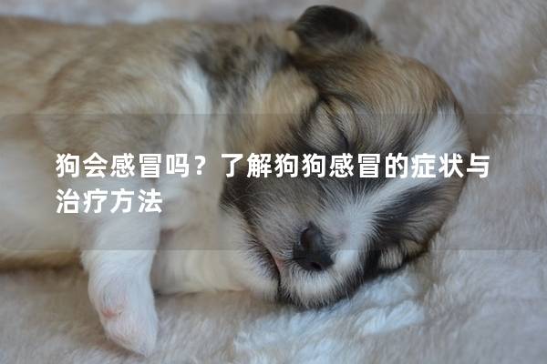 狗会感冒吗？了解狗狗感冒的症状与治疗方法