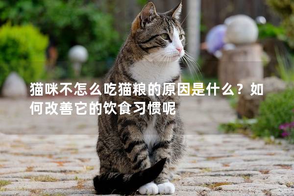 猫咪不怎么吃猫粮的原因是什么？如何改善它的饮食习惯呢