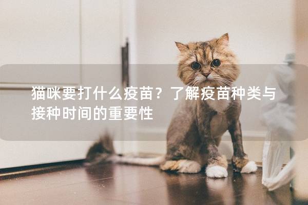 猫咪要打什么疫苗？了解疫苗种类与接种时间的重要性